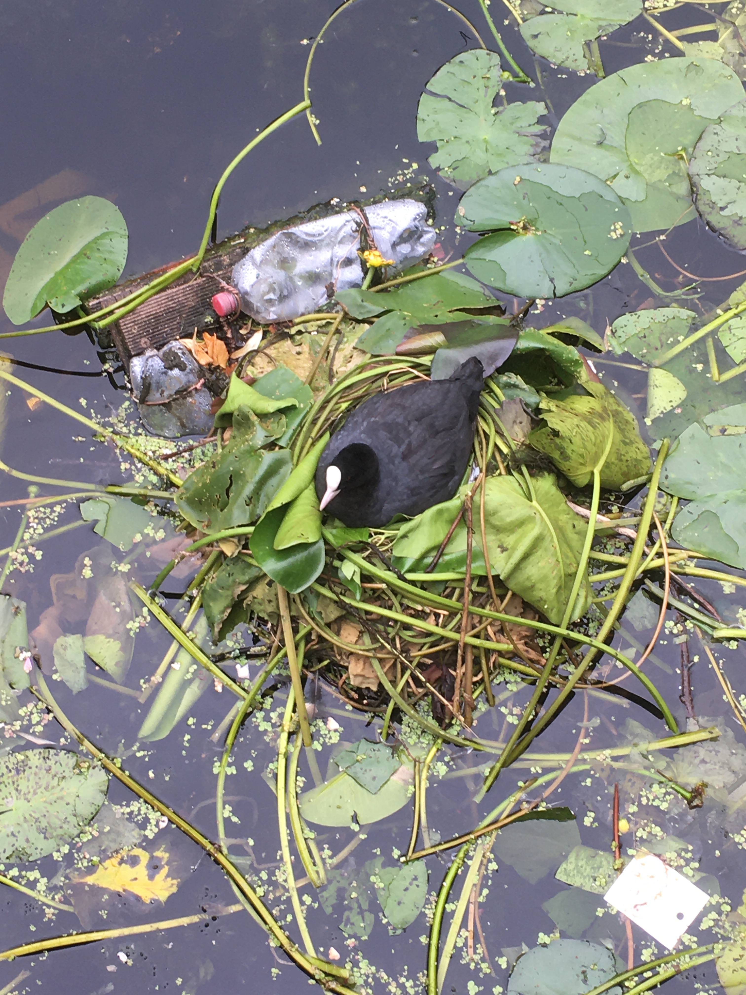 C253AEE7-08A1-4B87-812F-55794ECD9FB5